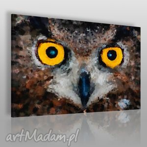obraz na płótnie - sowa oczy - 120x80 cm (01701) - VAKU DSGN obrazy