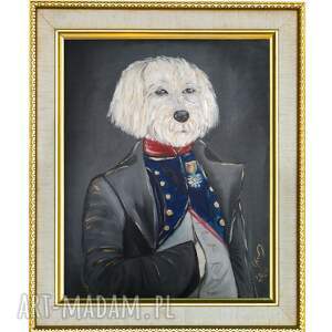 obraz olejny maltańczyk napoleon portret psa na płótnie 50x70 cm