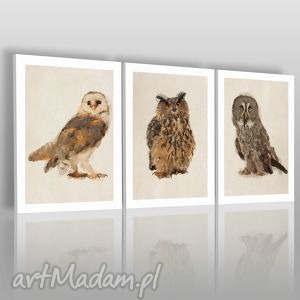 obraz na płótnie - sowy tryptyk - 3x50x70 cm - VAKU DSGN obrazy