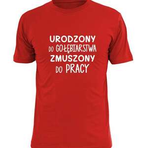 ręcznie wykonane koszulki koszulka z nadrukiem, prezent najlepszy gołębiarz