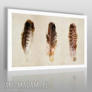 obraz na płótnie - pióra - 120x80 cm (01903) - VAKU DSGN obrazy