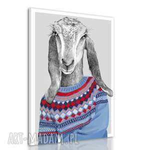 nowoczesny obraz drukowany na płótnie - koza kryśka w niebieskim swetrze