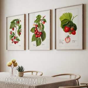 zestaw plakatów 30x40 cm, letnie owoce set11, plakaty do kuchni, retro