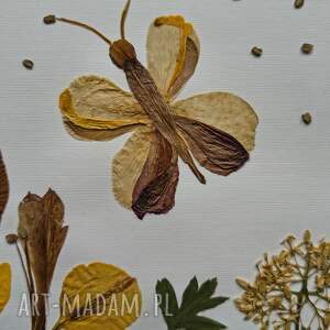 jesienny taniec motyla - obraz botaniczny 25x35cm, suszone kwiaty sztuka