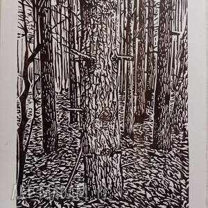 linoryt las iglasty grafika, obrazek