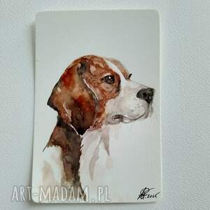 oryginalny prezent, beagle akwarela, psy, malarstwo akwarelowe