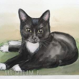 kot - akwarela, koty, obrazy koty prezent dla miłośnika obrazek z kotem