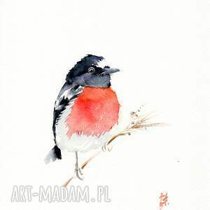 oryginalna akwarela rudzik szkarłatny, dekoracje, ptaki, prezent, natura