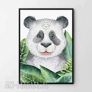 plakat obraz panda 50x70 cm B2, dom grafika