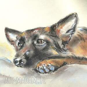 Owczarek niemiecki - pastele, pies, obraz psa