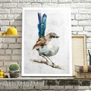obraz drukowany na płótnie akwarelowy bluebird - 40x60cm 02640, ptaszek