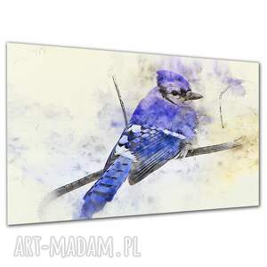Obraz na płótnie Sójka 120x80 cm - niebieski ptak