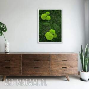 obraz z naturalnego mchu zielona ściana w twoim domu ramie, 70x50 cm mech