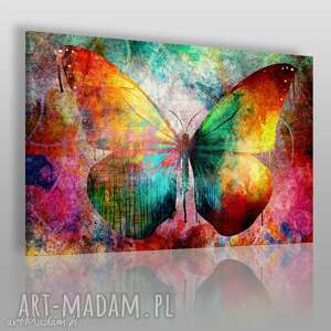 obraz na płótnie - motyl kolorowy - 120x80 cm - VAKU DSGN obrazy