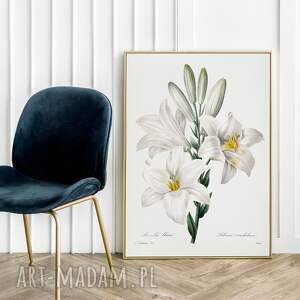 white flowers - plakat 50x70 cm, rysunek prezent