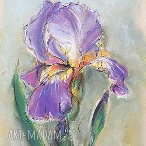 święta, irys - obraz pastelowy kwiaty pastele
