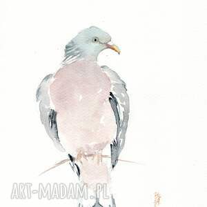 Prezent Oryginalna grzywacz, akwarela, gołąb