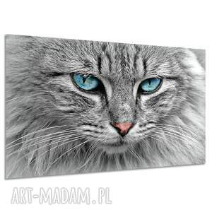 Obraz na płótnie kot z niebieskimi oczami 120x80 cm