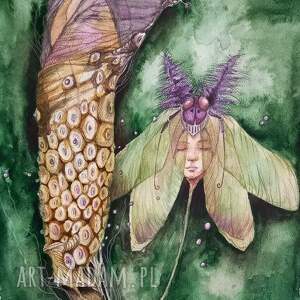 dżungla akwarela artystki adriany laube - obraz A3, owad, ćma surrealizm