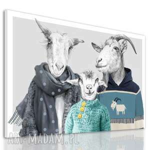 nowoczesny obraz na płótnie z kozami - rodzina kozłowskich synkiem 120x80cm