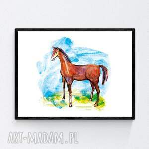 plakaty koń A4, zwierzęta plakat 21x30, obrazek z koniem, plakat z koniem, źrebak