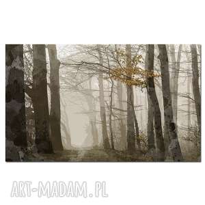 obraz las 1 - 120x70cm las we mgle designe jesień