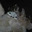 Pierścionek Szafirowa ćma