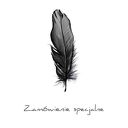 Zamówienie specjalne