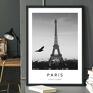 paryż wieża eiffla 40x50 cm (8 czarno biały plakat do salonu