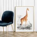 Plakat Żyrafa vintage - reprodukcja 30x40 cm