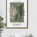 Zestaw plakatów botanicznych 40x50 cm - monstera i liście