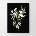 Plakat obraz black flower A2 42x59.4cm