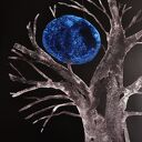 Plakat botaniczny Drzewo 2 - oryginalna grafika 50x70 cm