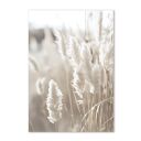 Plakat - Trawy Boho 50x70 cm (8-2-0045)