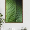 Plakat 50x70 cm - Wypleciona naturą zieleń (GC 21 - 779)