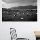 Plakat z fotografią krajobrazu Islandii 100 x 70 cm - czarno-biały
