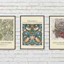 Zestaw 3 plakatów 40x50 cm William Morris - retro vintage botaniczne