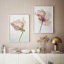 ZESTAW PLAKATÓW 2cz 30x40 cm Delikatne róże (set200)