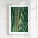 Zestaw plakatów 30x40 cm - Natura, butelkowa zieleń (tryptyk botaniczny)