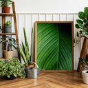 Plakat 50x70 cm - Wypleciona naturą zieleń (GC -21 -779)