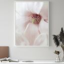 Zestaw plakatów 50x70 cm: Róża i Magnolia (31)