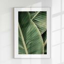 Zestaw plakatów 30x40 cm - Natura, butelkowa zieleń (tryptyk botaniczny)