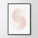 Plakat obraz pink circle 40x50 cm