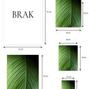 Plakat 50x70 cm - Wypleciona naturą zieleń (GC -21 -779)