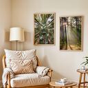 Zestaw plakatów 2-części 50x70 cm Las (set210)