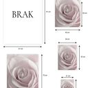 Plakat z delikatną różą 40x50 cm (GC -21 -743)