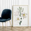Plakat White Flowers 30x40 cm - białe kwiaty w stylu vintage