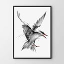 Plakat obraz Szary 2 B2 - 50x70 cm