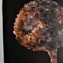 Drzewa, botanika, komplet 3 plakatów autorskich