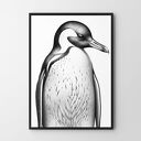 Plakat Pingwin vintage czarno-biały 61x91 cm - Hogstudio